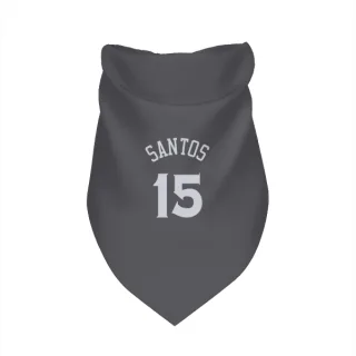 Golden State Warriors Gui Santos Gray  Dog & Cat Pet Bandana