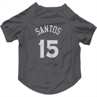 Golden State Warriors Gui Santos Gray  Dog & Cat Pet Jersey