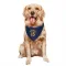 Golden State Warriors Latrell Sprewell Navy  Dog & Cat Pet Bandana