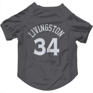 Golden State Warriors Shaun Livingston Gray  Dog & Cat Pet Jersey